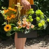 FRD Flora