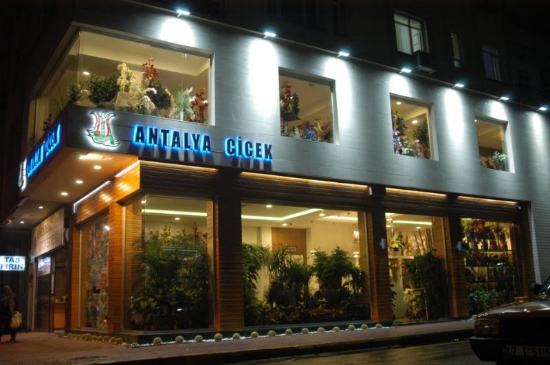 Antalya Çiçek & Antalya Çiçekçilik & Antalya Çiçekci