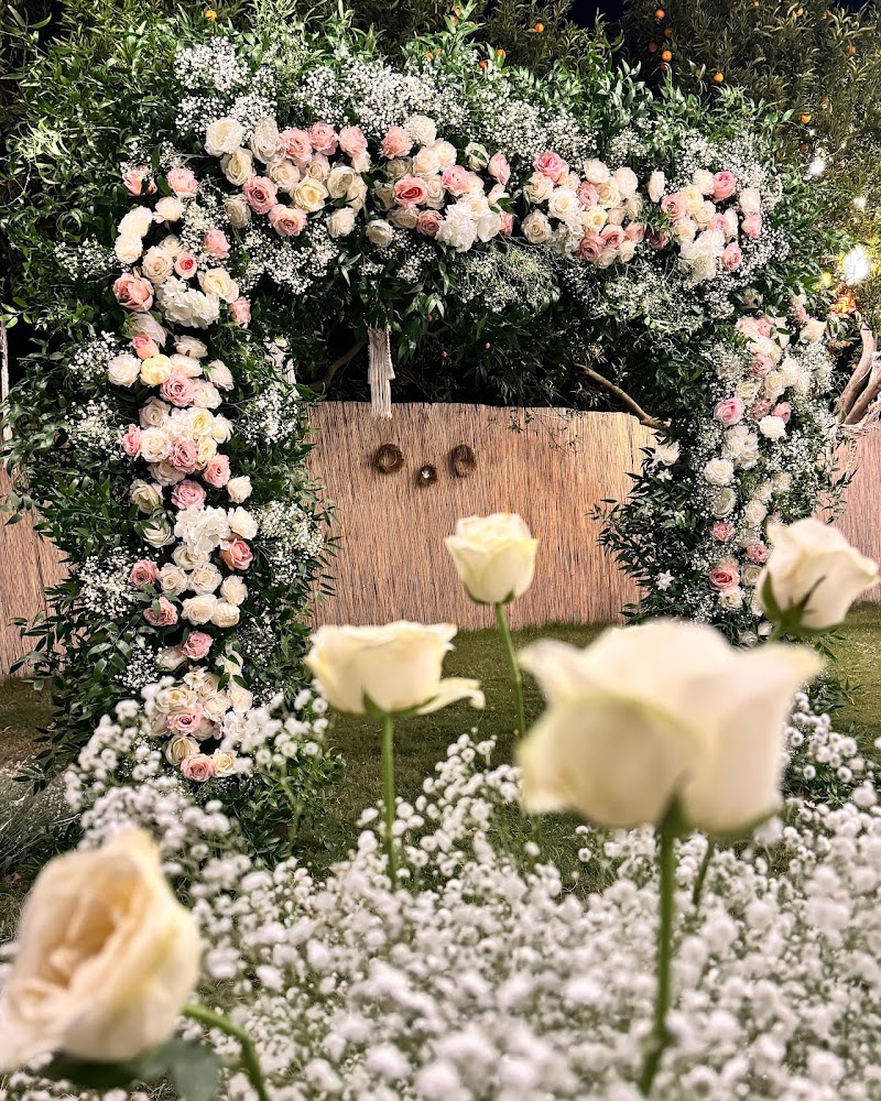 Bella Organizasyon Antalya Wedding Planner