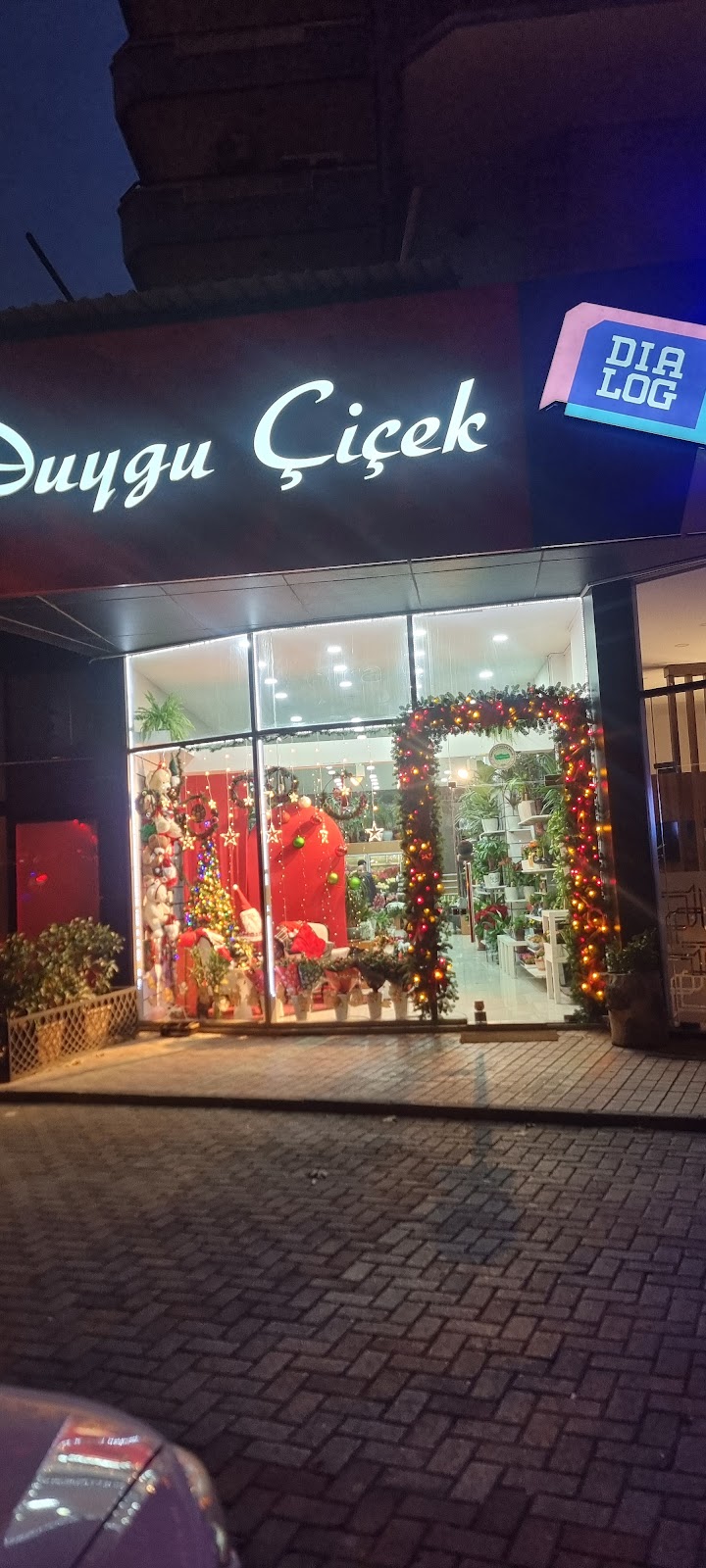 Bursa Çiçek
