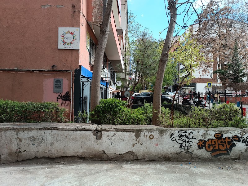 Mfç Medya