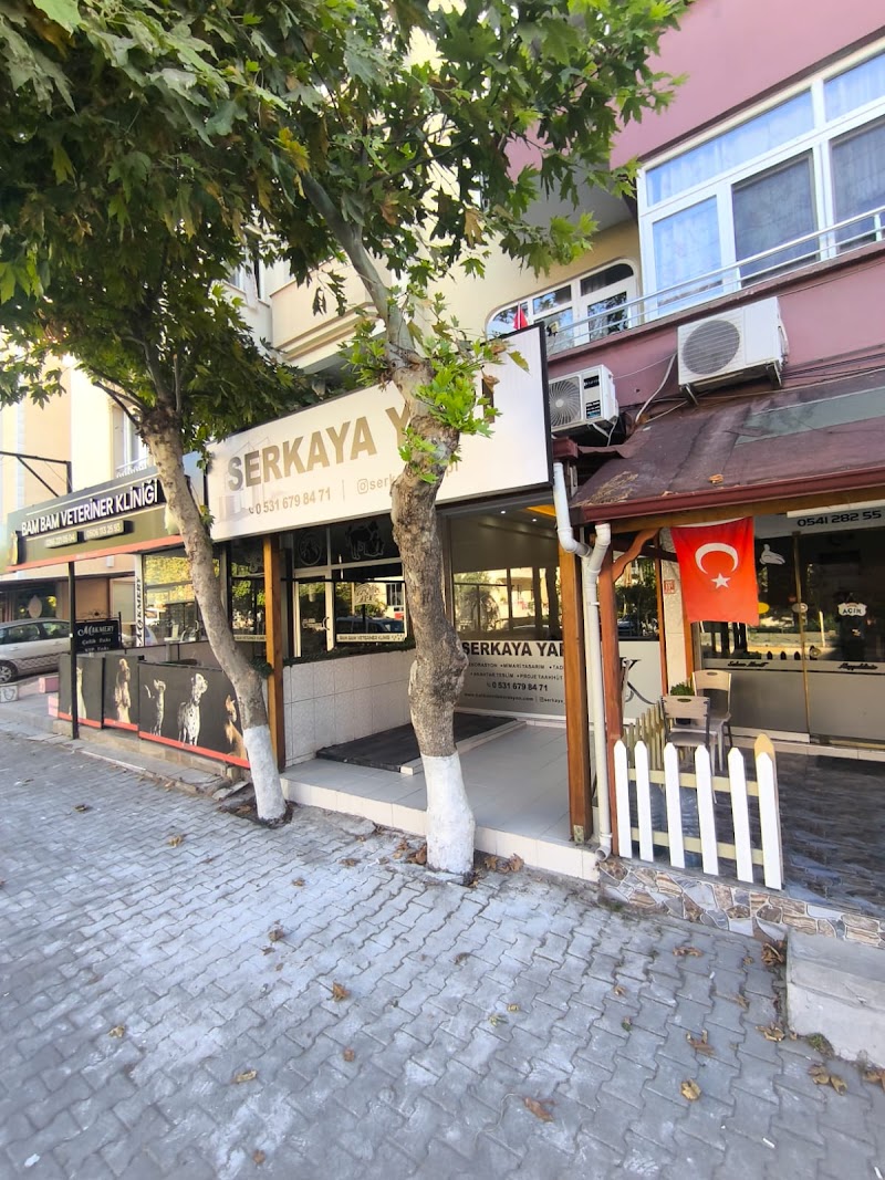 Serkaya Balikesir Tadilat & Dekorasyon